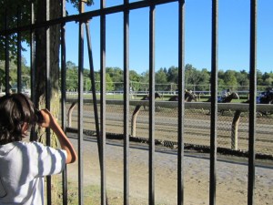 Travers Day 2013 103