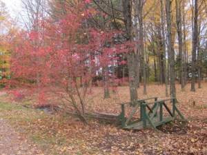 Footbridge in Fall