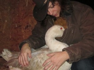 January late 2014 080