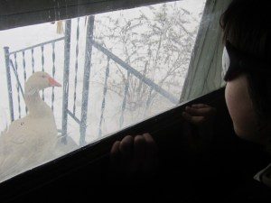 January late 2014 115