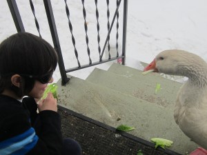 January late 2014 120