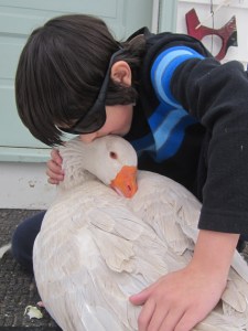 January late 2014 139