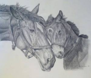 horses